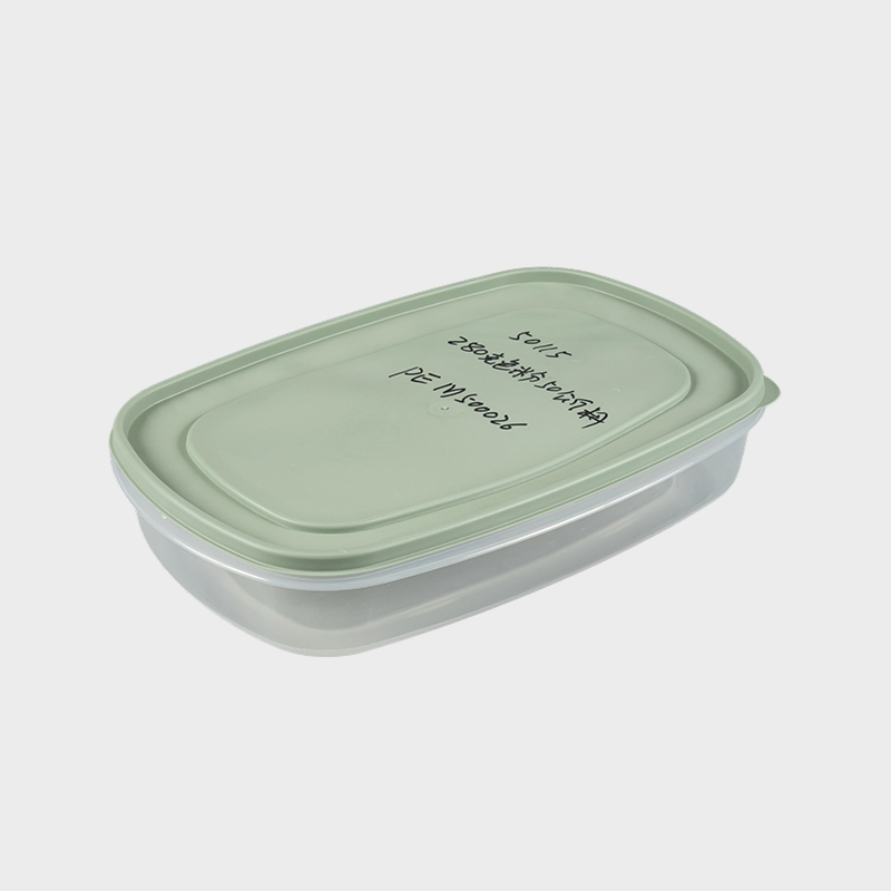 Transparente Aufbewahrungsbox mit Griff und Deckel PFB057