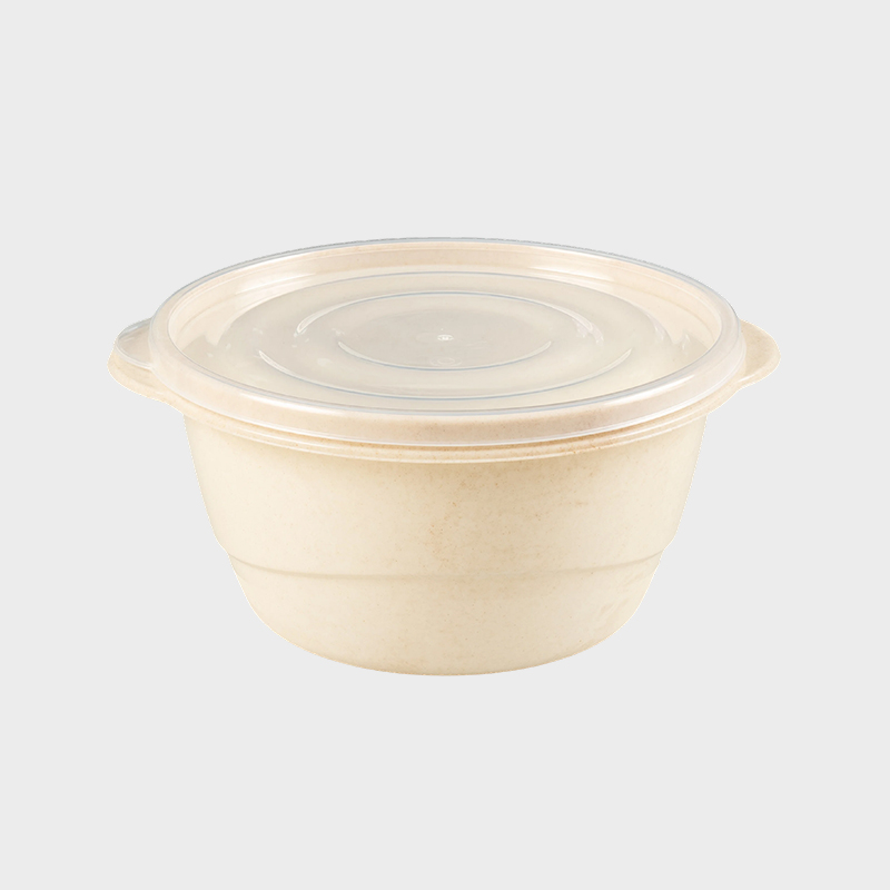Runde Fast-Food-Box aus Kunststoff mit Deckel PFB009