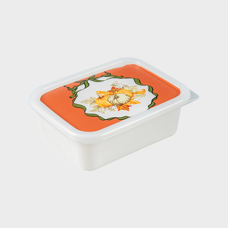 Aufbewahrungsbox aus Kunststoff PFB067