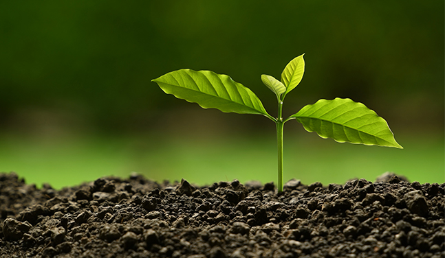 Ningbo Panfeng Mould Plastic Co. Ltd.